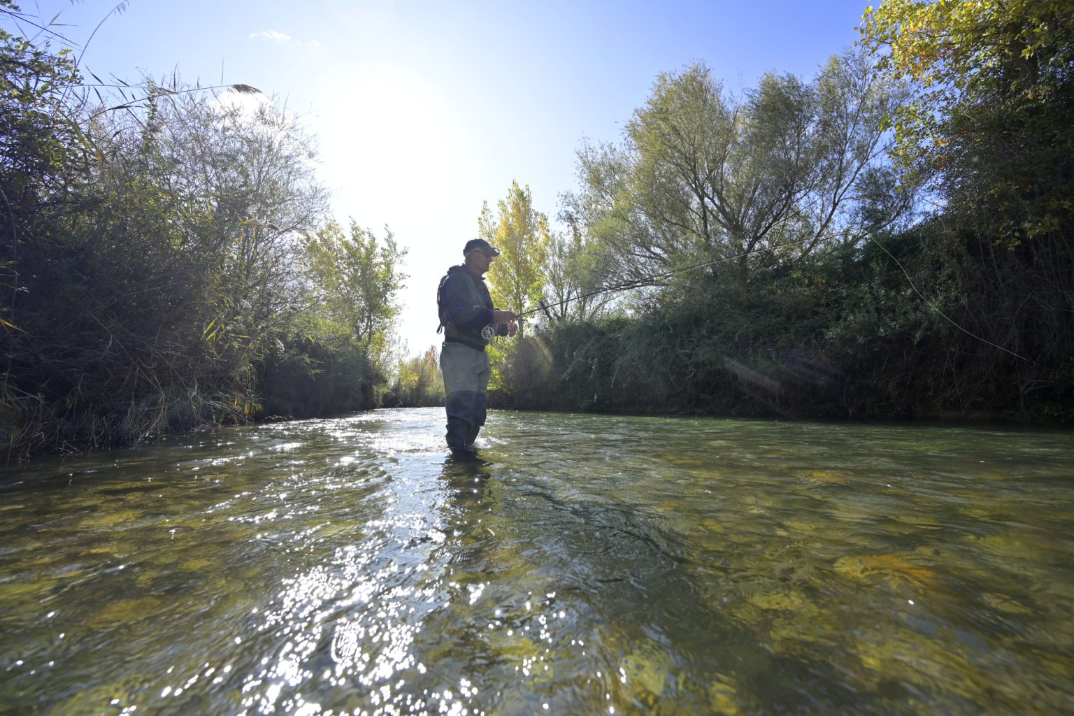 Mastering Trout Fishing Techniques For Rivers Tips And Tricks