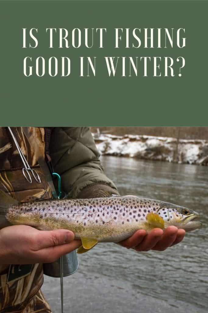 is trout fishing good in winter