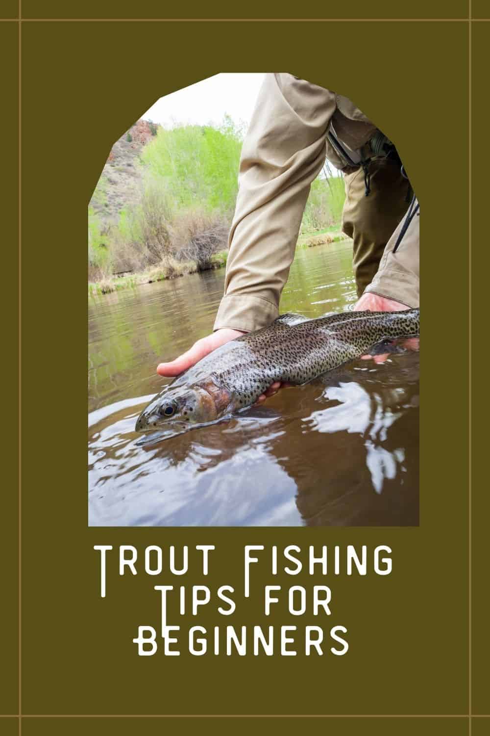 Trout Fishing Tips for Beginners [ Easy Steps for Fishing Success ...