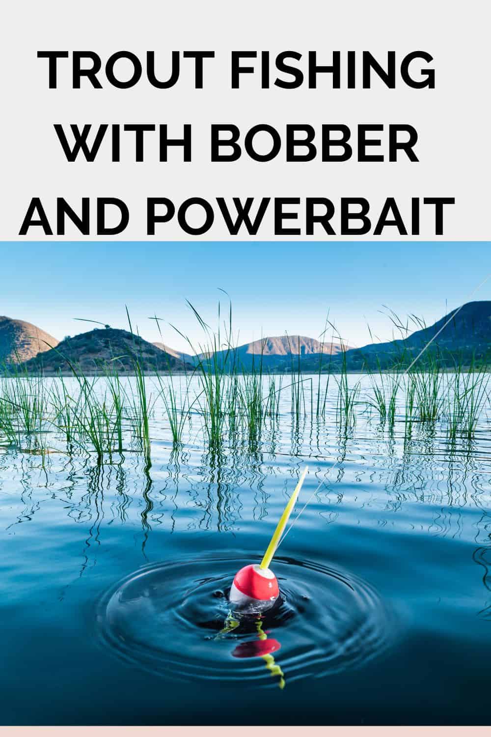 Trout Fishing With Bobber and Powerbait - Southern Trout