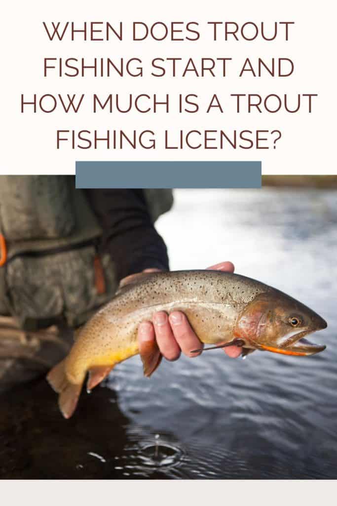 when does trout fishing start