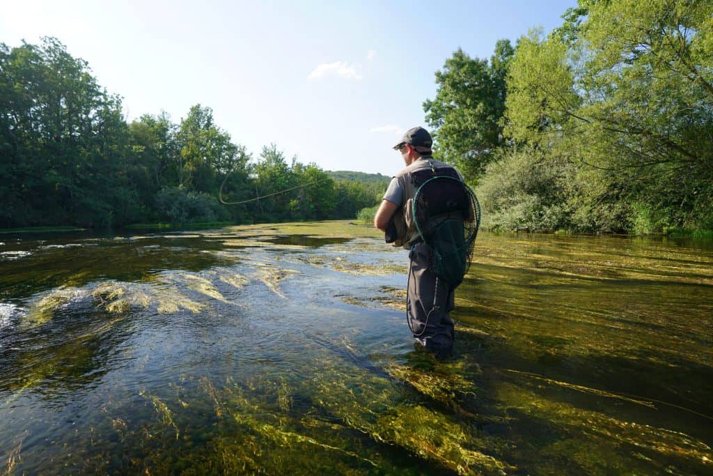 fly fishing for trout in river casting fly line for trout