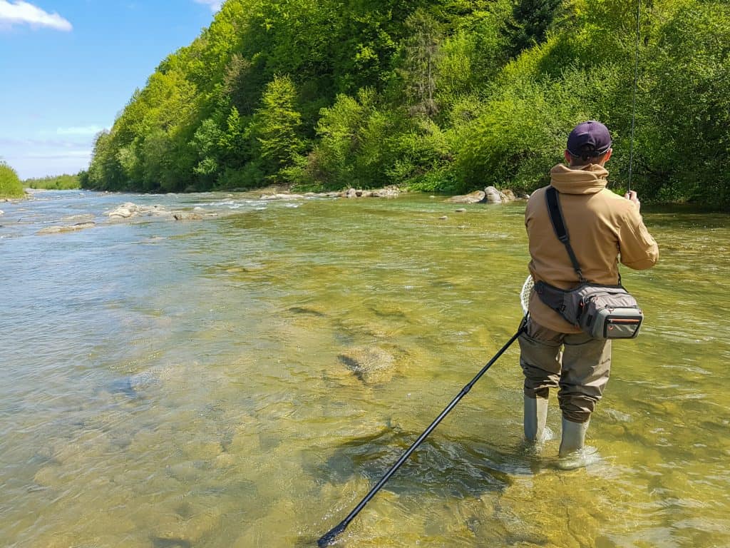 fly fishing for trout in shallow stream fly fishing in waders