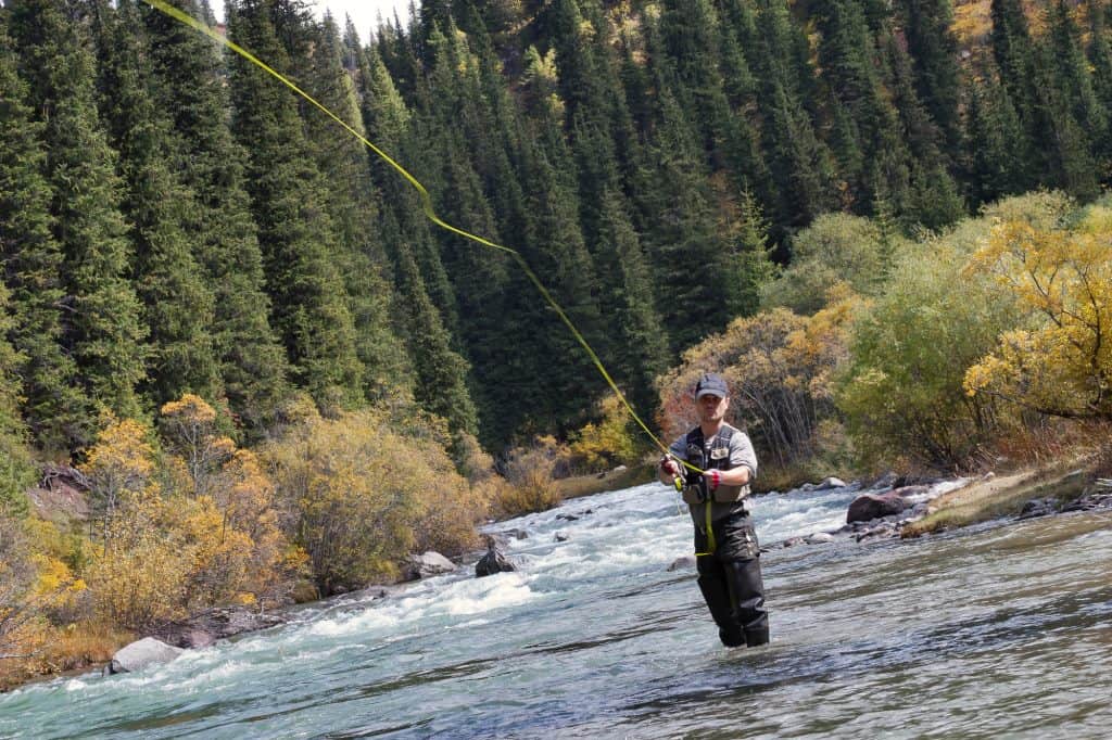 fly fishing for trout in a stream or river