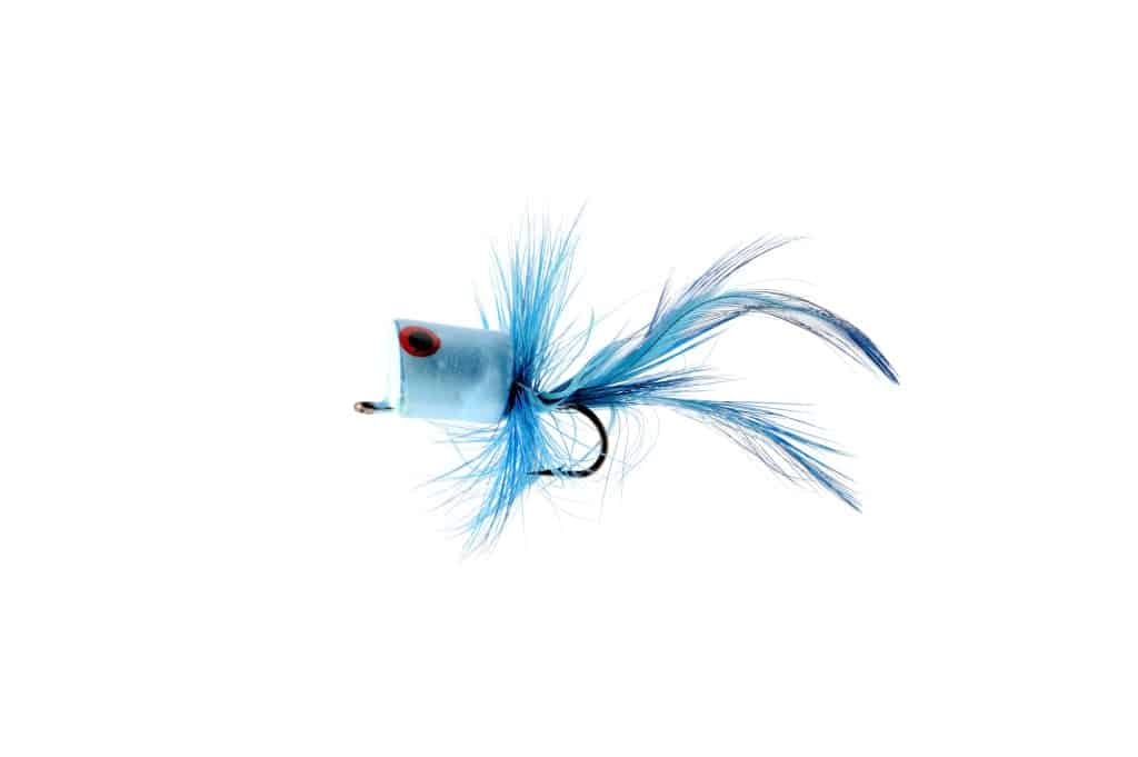 blue popper for fly fishing