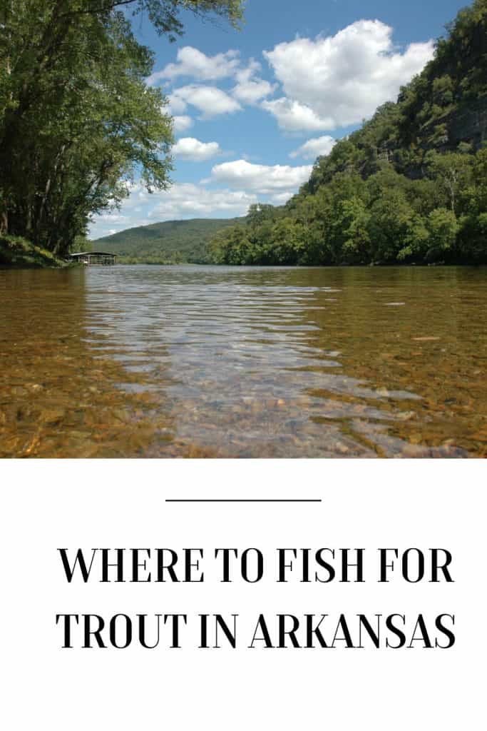 where to fish for trout in Arkansas