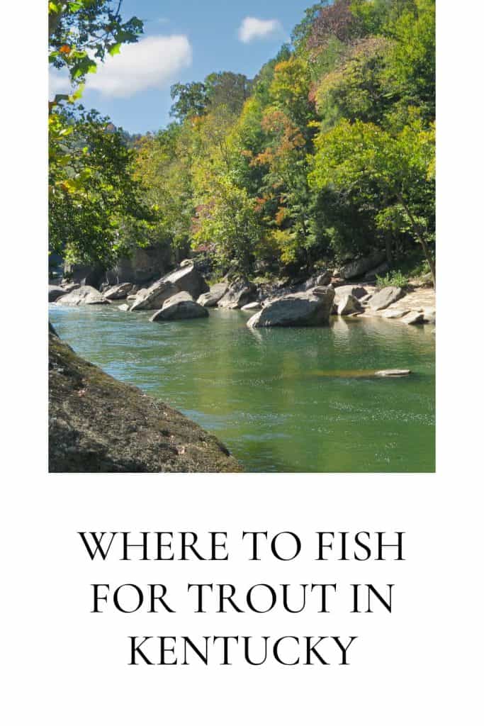 where to fish for trout in kentucky