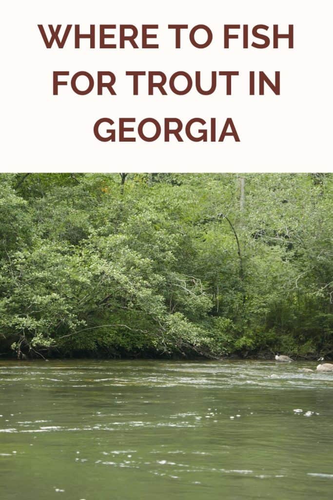 where to fish for trout in Georgia