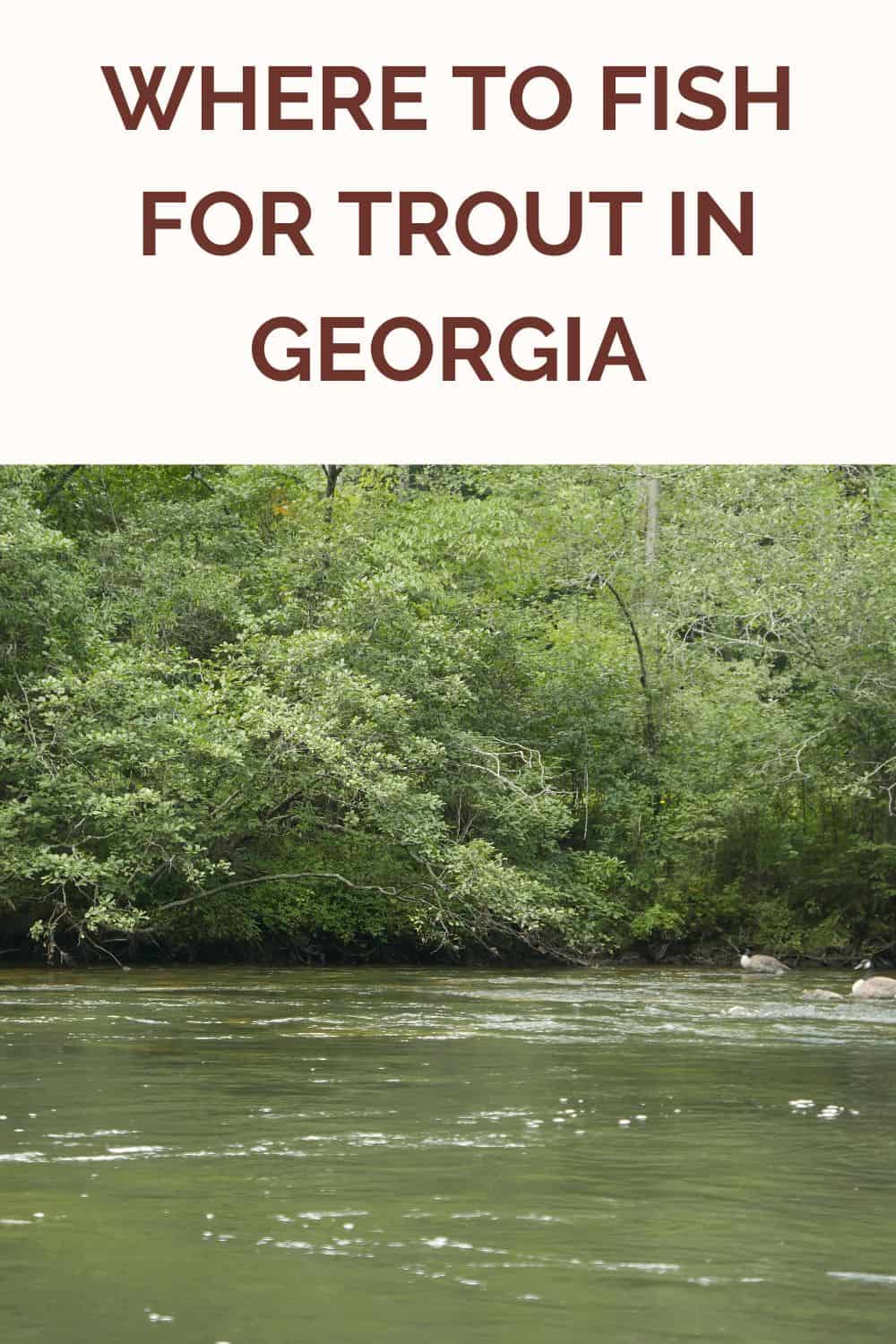 Where to Fish for Trout in [4 Great Fishing Spots Revealed