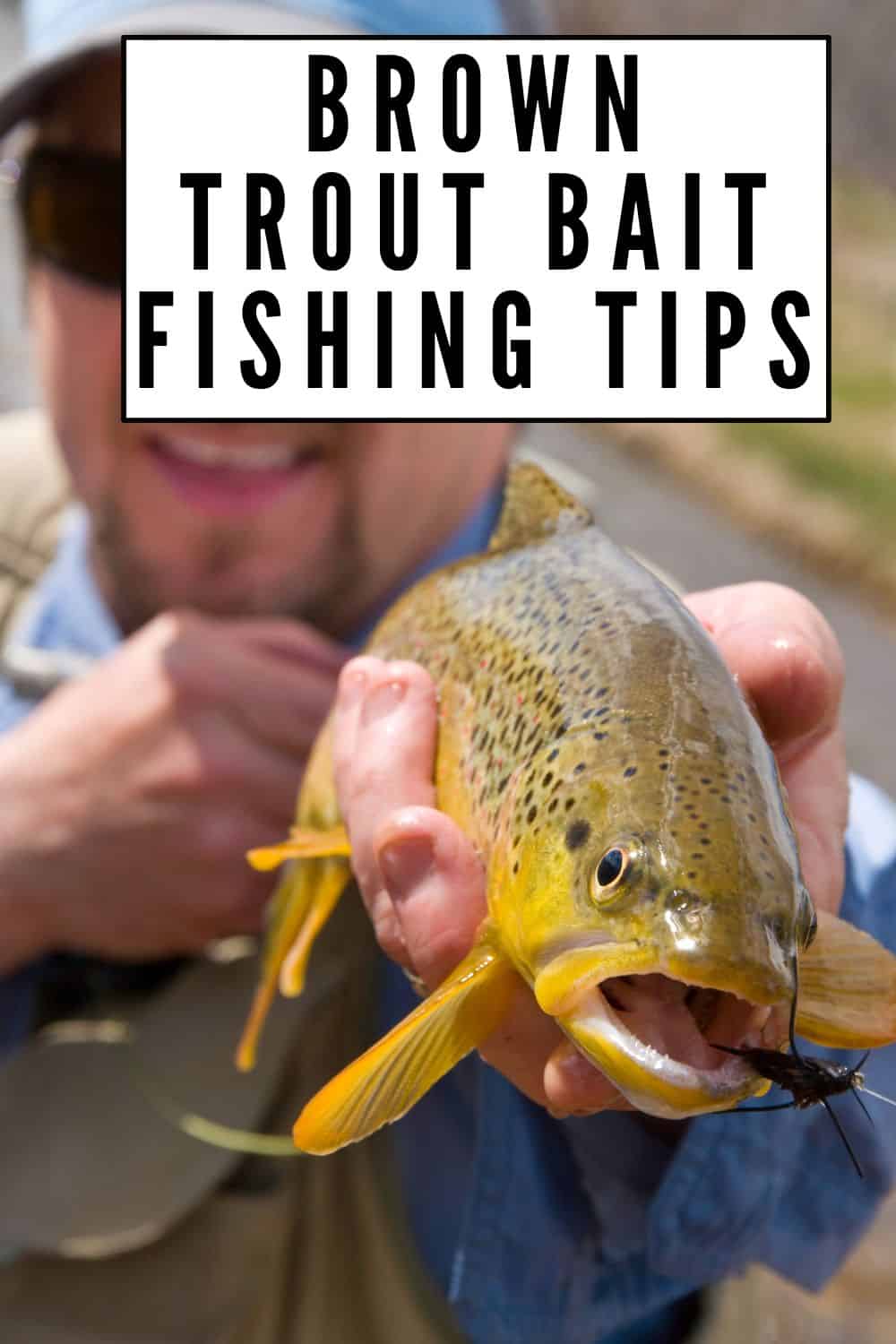 Brown Trout Bait Fishing: Essential Tips for Success - Southern Trout