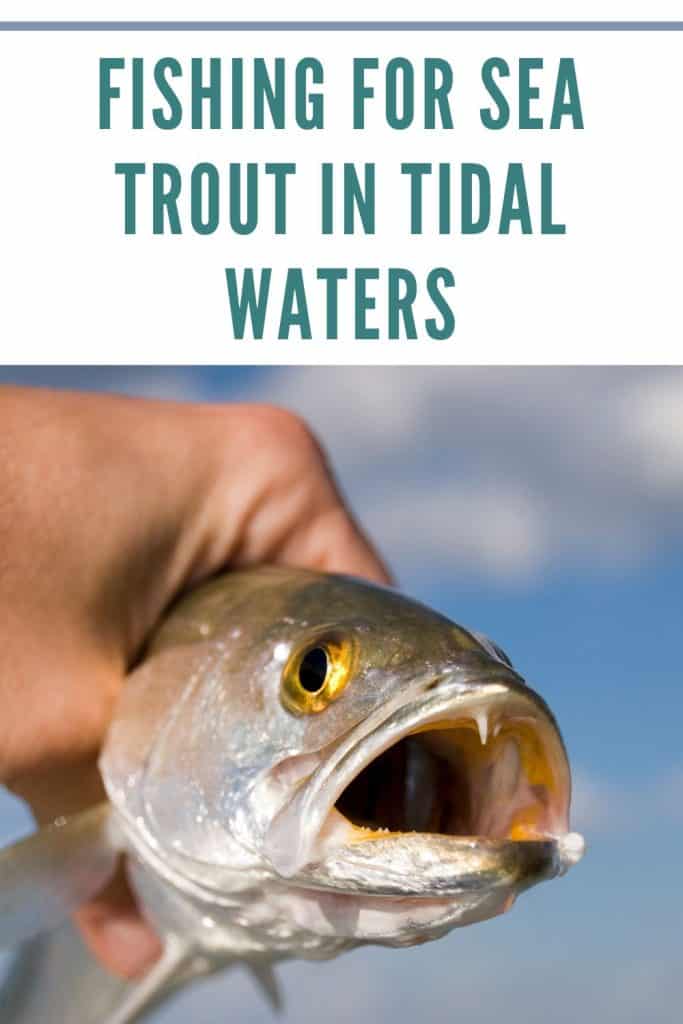 fishing for sea trout in tidal waters