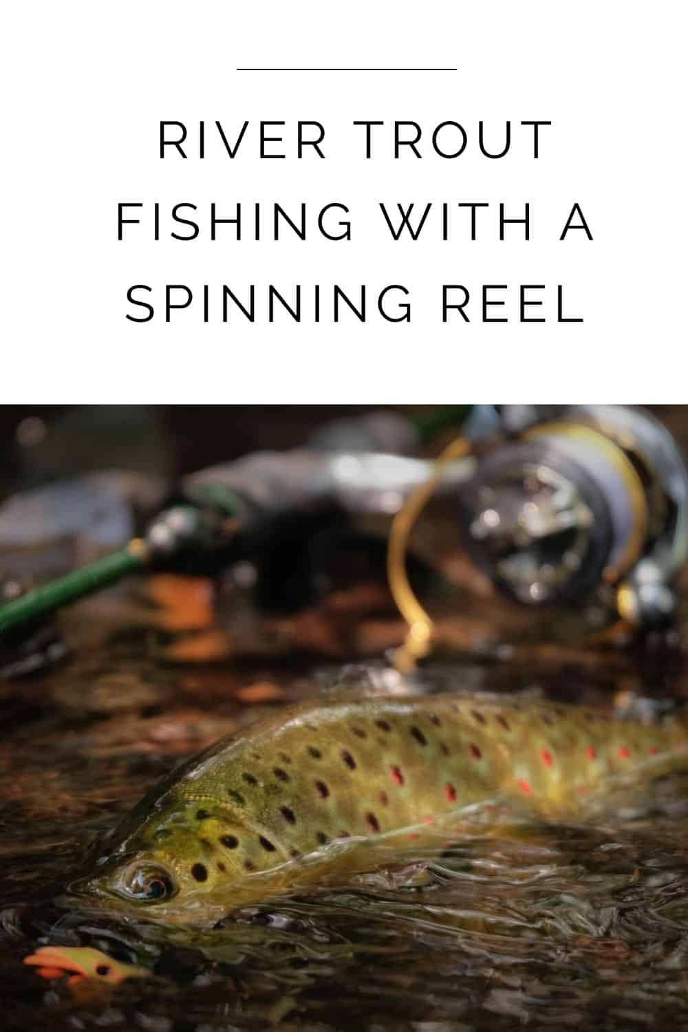 Mastering River Trout Fishing with a Spinning Reel: Tips and Techniques ...