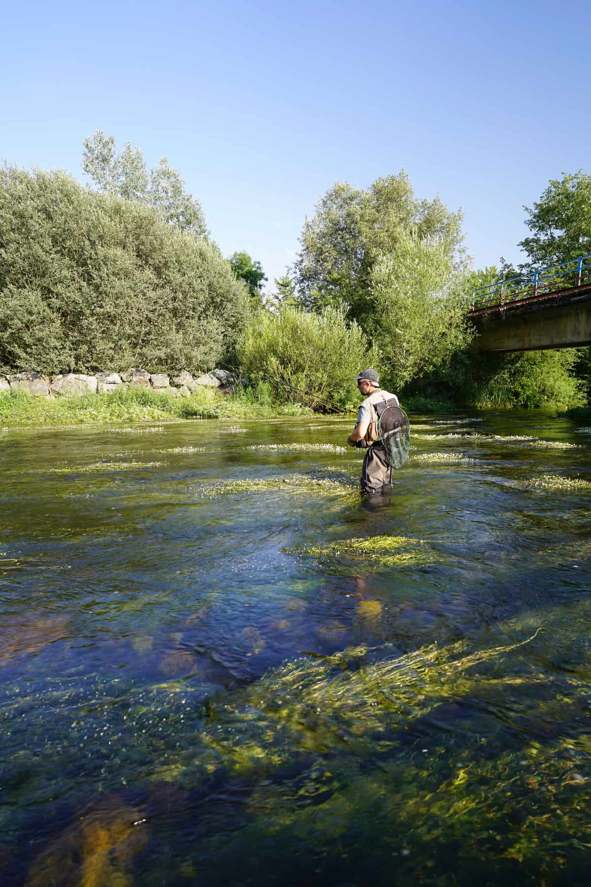 Mastering Trout Fishing Techniques For Rivers Tips And Tricks Southern Trout